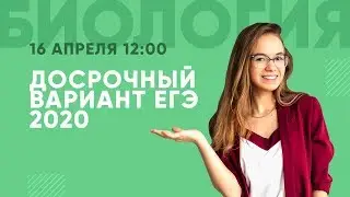 Разбор ДОСРОЧНОГО варианта ЕГЭ 2020  в 
