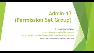 Admin-13 (Permission Set Group)