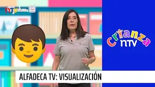 Alfadeca TV: La importancia de la Visualización