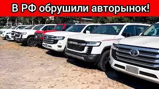 Вот такого мы не ждали! В РФ резко взлетели ЦЕНЫ НА АВТО из-за ограничения параллельного импорта!