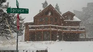 First Snow of 2024: For the guests!