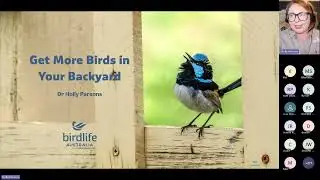 Birds Meet: Get more birds in your backyard