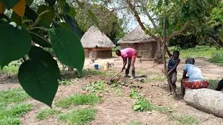 A Walk To Plant Trees In Soroti, Starting A Food Forest. # One Tree At A time