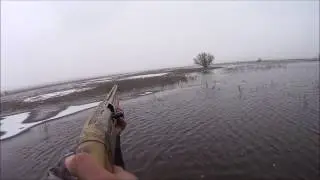 весна охота на гуся 2017г.goose hunting