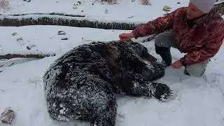 Огромный ШАТУН 1 декабря 2022