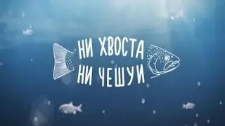 Ни хвоста, ни чешуи. 2 сезон. Выпуск 5 HD