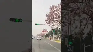 Andijon shaxarda bahor ifori #travel #road #automobile #beautiful #vlog #tiktok #instagram #music