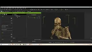 Animating a skeleton facial and body in CC4/iClone from Daz