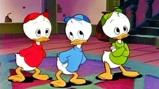 Donald Duck and Huey, Dewey and Louie Cartoon