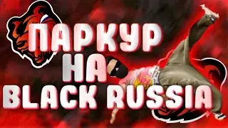 Паркур на "BlackRussia." Меня забанили...