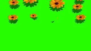 Chroma Background Effect | Green Screen Flower Video Effect | Green Screen Motion Backgrounds - No 5