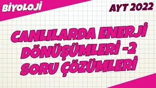 AYT Biyoloji - Canlılarda Enerji Dönüşümleri - 2 Soru Çözümleri  | AYT Biyoloji 2022 