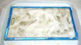 This product removes grease in 30 seconds, even from 100 years ago! Now my range hood mesh is lik...
