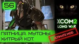 Тестируем авторский мод на стриме |Серия #56