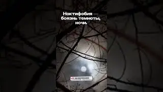 Ноктифобия. #психология #психолог #когда_тяжело #что_со_мной #помогите #education #со_смыслом #learn