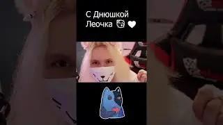 С днюшкой Леочка🖤🥳@li_leo @ShowtimeLeo @Leonard_TheCat