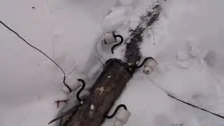 СТОЛБОМ ЧУТЬ НЕ УБИЛО НА СНЕГОХОДЕ 🤕.