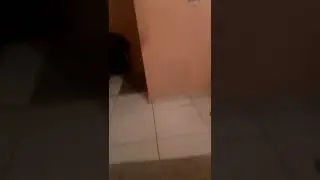 meu primeiro vídeo