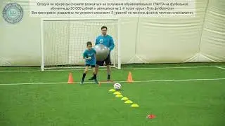веб