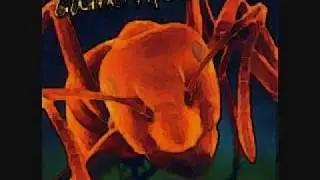 Guano Apes - Open Your Eyes Lyrics