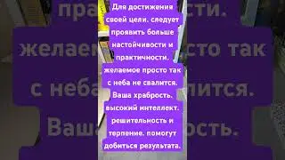Карта дня 26.08.24#sorts