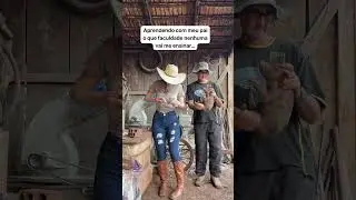 Meu maior exemplo de homem #shortsyoutube #agro #pai #porcos