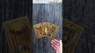 КАКАЯ У НЕГО ЛЮБОВЬ К ВАМ?