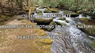 ASMR - Relax Instantly Camped by A Smoky Mountain Stream (8 hours) Sleep Soundly / Relieve Stress