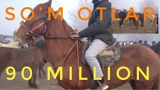 Guliston tumani Ko’nchi Bozoridan Otlar narxi/ Гулистон тумани Кунчи Бозоридан Отлар Нархи!!!