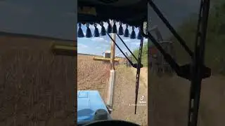 Косимо сонях 2023р 🌻 