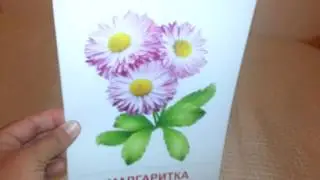 Цветы садовые демонстрационные картинки карточки