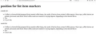 Css Position for list items marker lesson: 16(part-4)