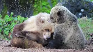 The Science of Friendship