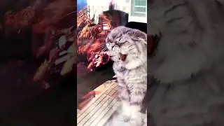 Зевающий #котик