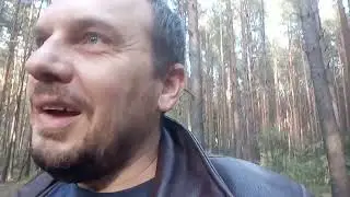 Прогулка по лесу с мыслями о Родине и о том, что сейчас происходит.