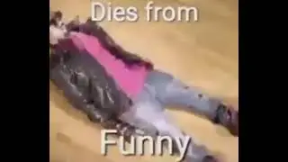 Dies from funny shitpost