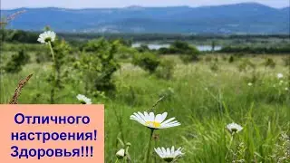 День Рождения - это лучший праздник!