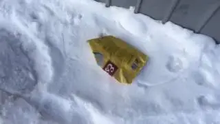 Земля наш общий дом