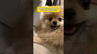 Как вам такие требования?!🤯 