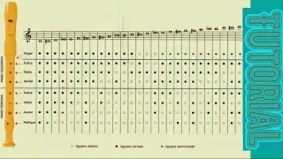 Como tocar todas las POSTURAS  en la Flauta Dulce  - TUTORIAL + Video Partitura 🎼 #recorder