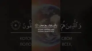 Священный Коран сура Аль-Муъминун