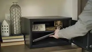 Sentry®Safe Total Protection System