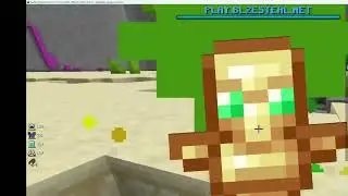 blzesteal new Minecraft server
