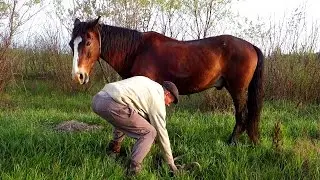 Without hundred grams and the horse does not work