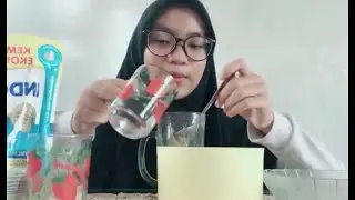 Procedure Project 9th Grade