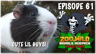 The Guinea Pig Exhibit - Minecraft SMP: Zoo and Wild Animal (ZAWA) Mod - S3E61