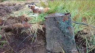 Яма мощь. Опять он! Гаражное железо лежит друг на друге слоями