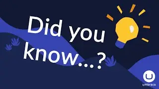 Did you know that you can find Packages for Umbraco in the Packages section