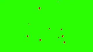 Circle Animation Filler Color Red Newboy Logo Green Screen Chroma Key (02)