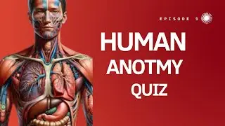 Can You Pass This Human Anotmy Quiz? 🧠 | General Knowledge Quiz | H Z